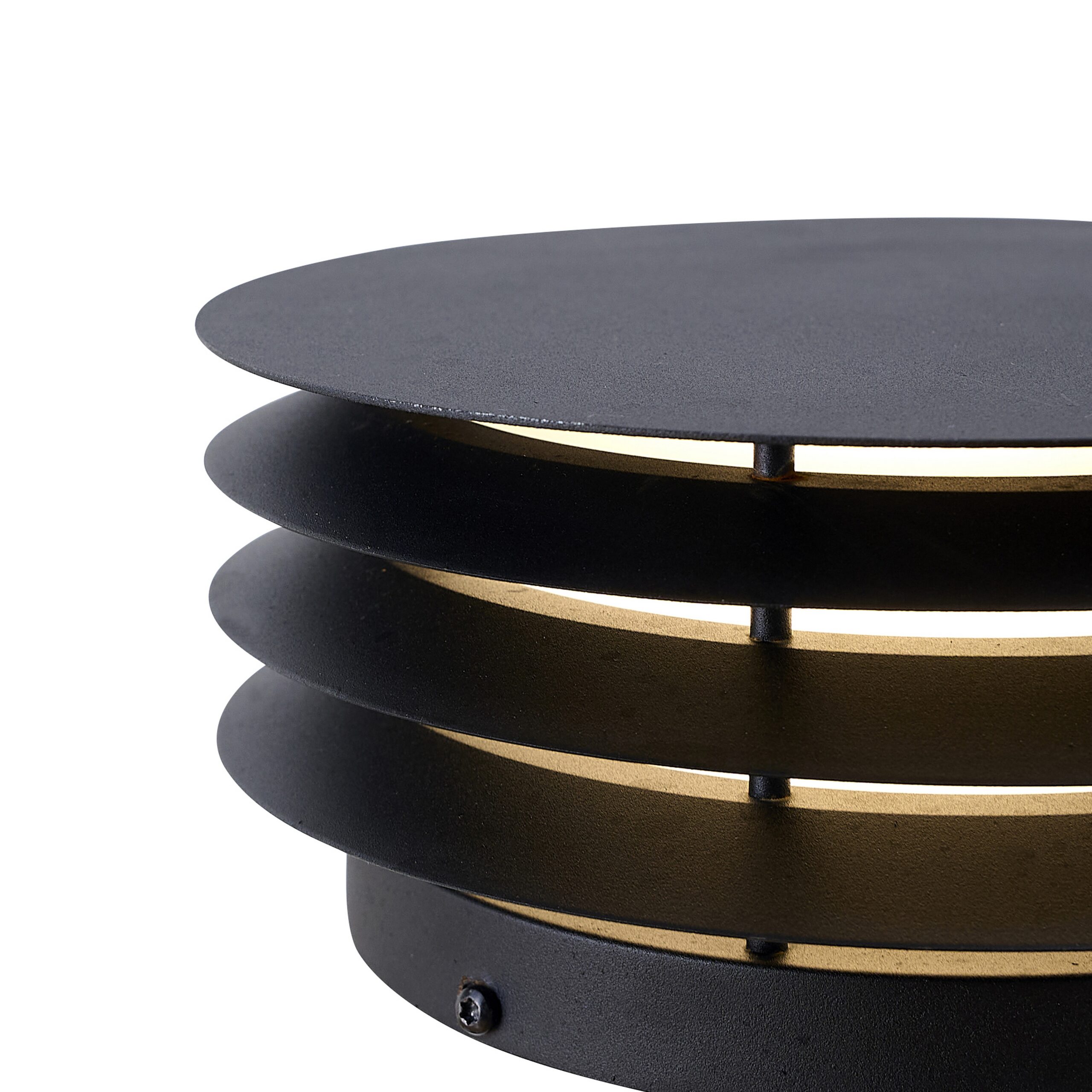 CIRELLA 2618101203_6