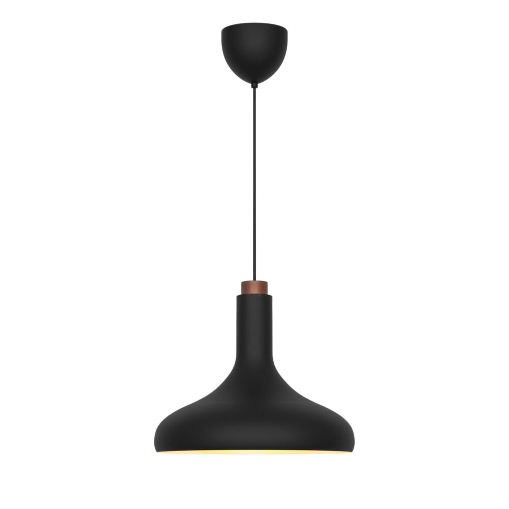 Fuji | Pendant | Black