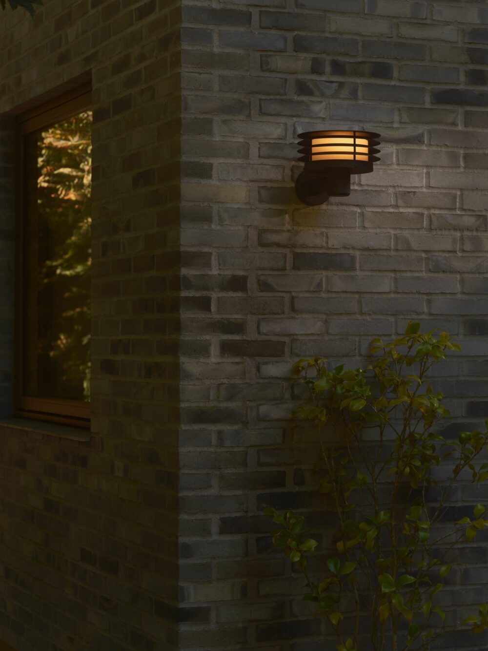 Cirella | Wall light | Seaside black