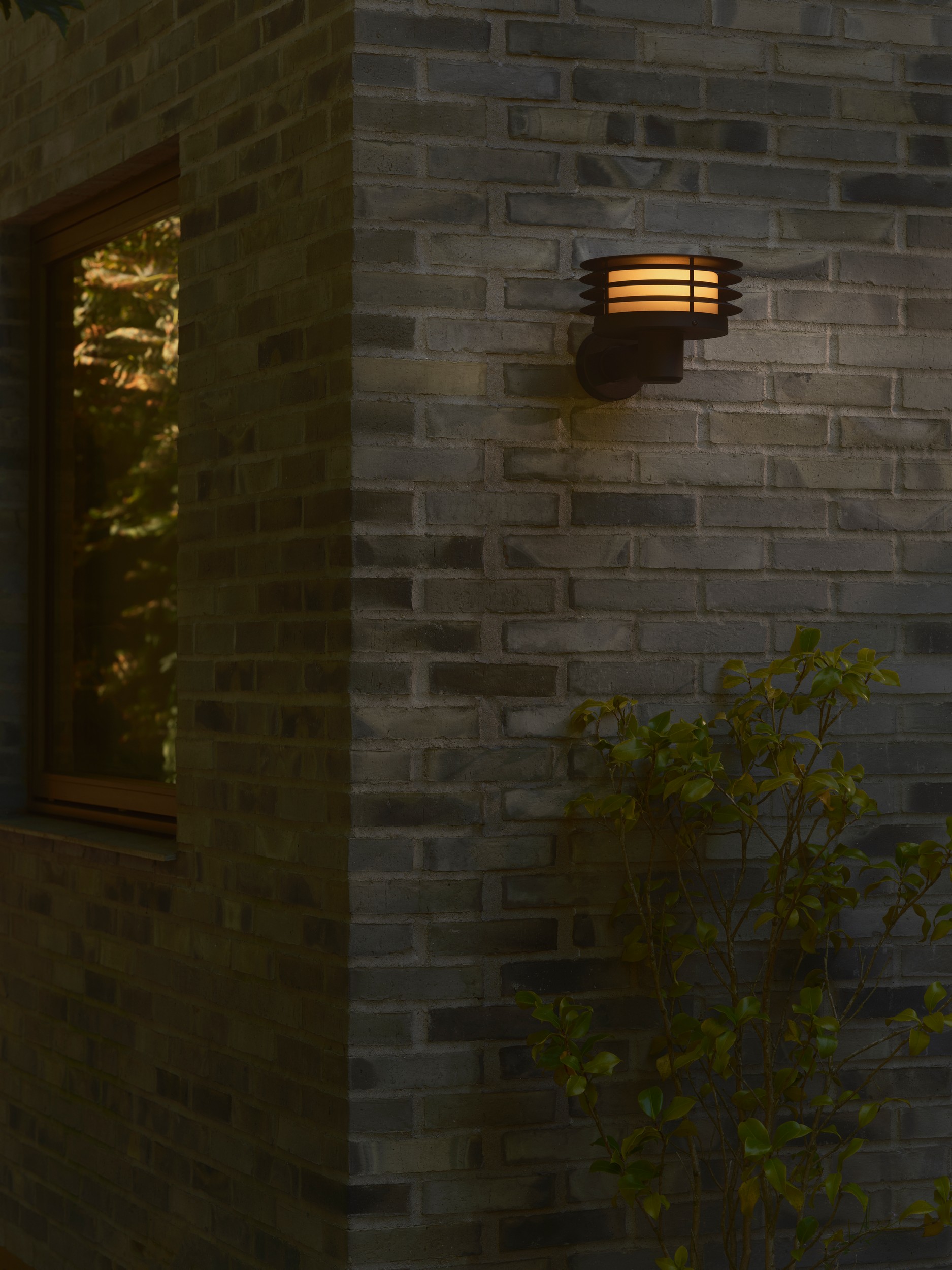 M Cirella 2618101203_1