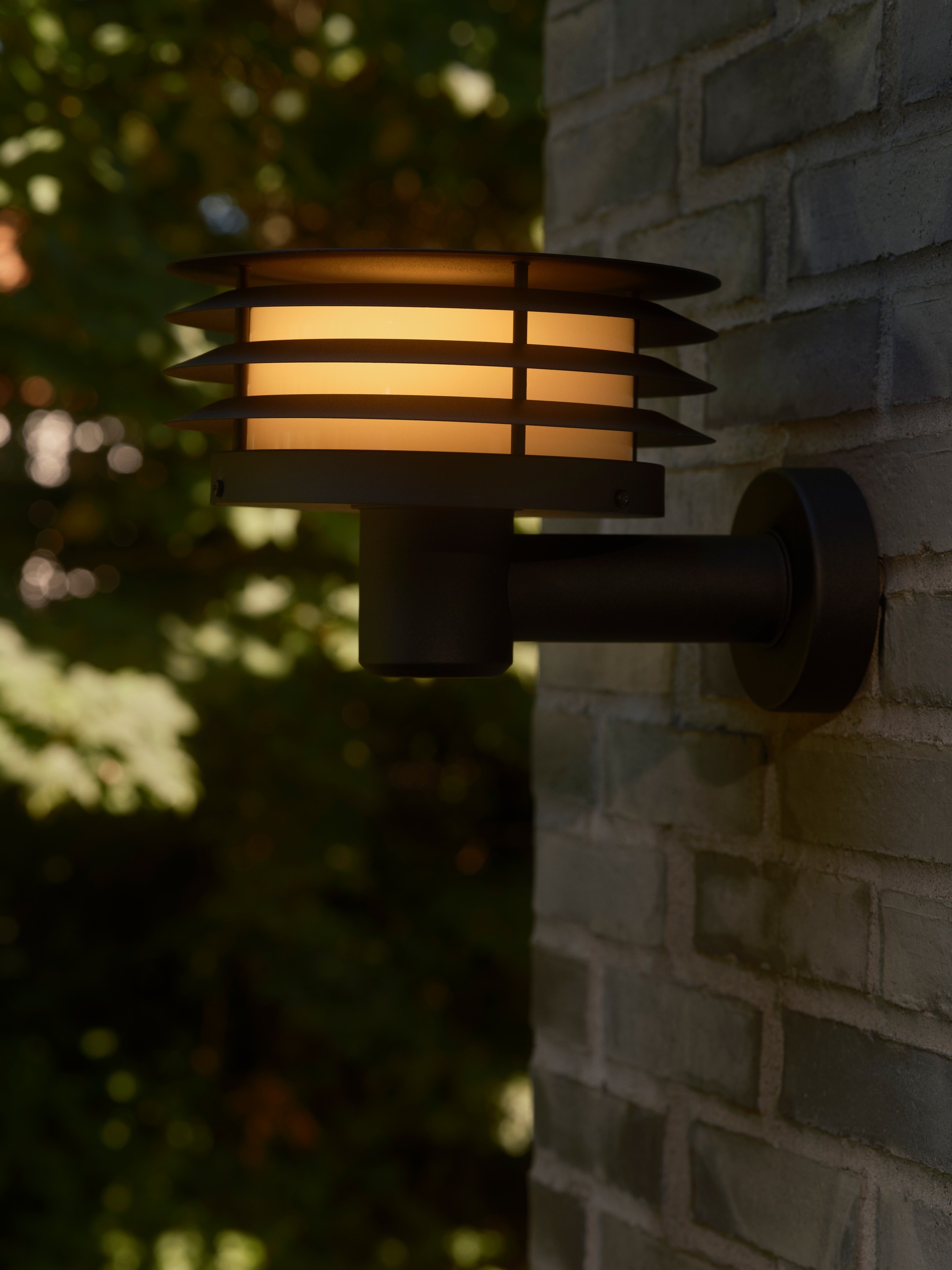 M Cirella 2618101203_3