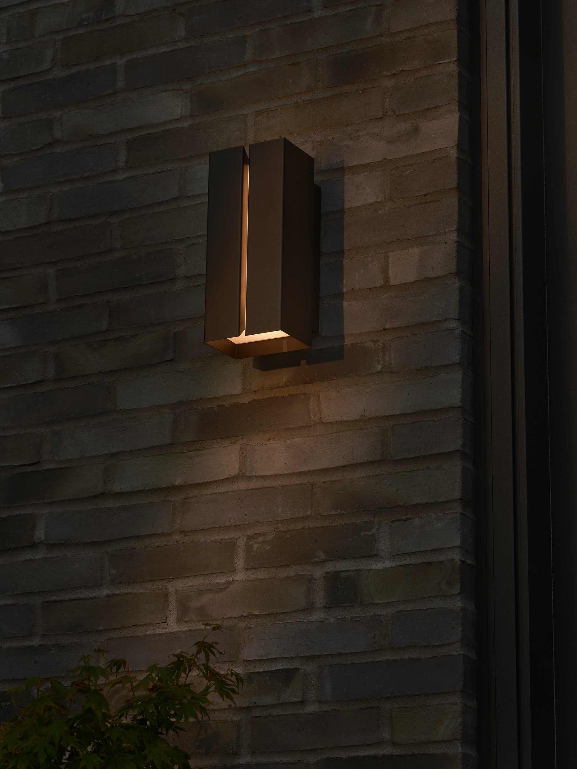 M Clarini 2618151203_2