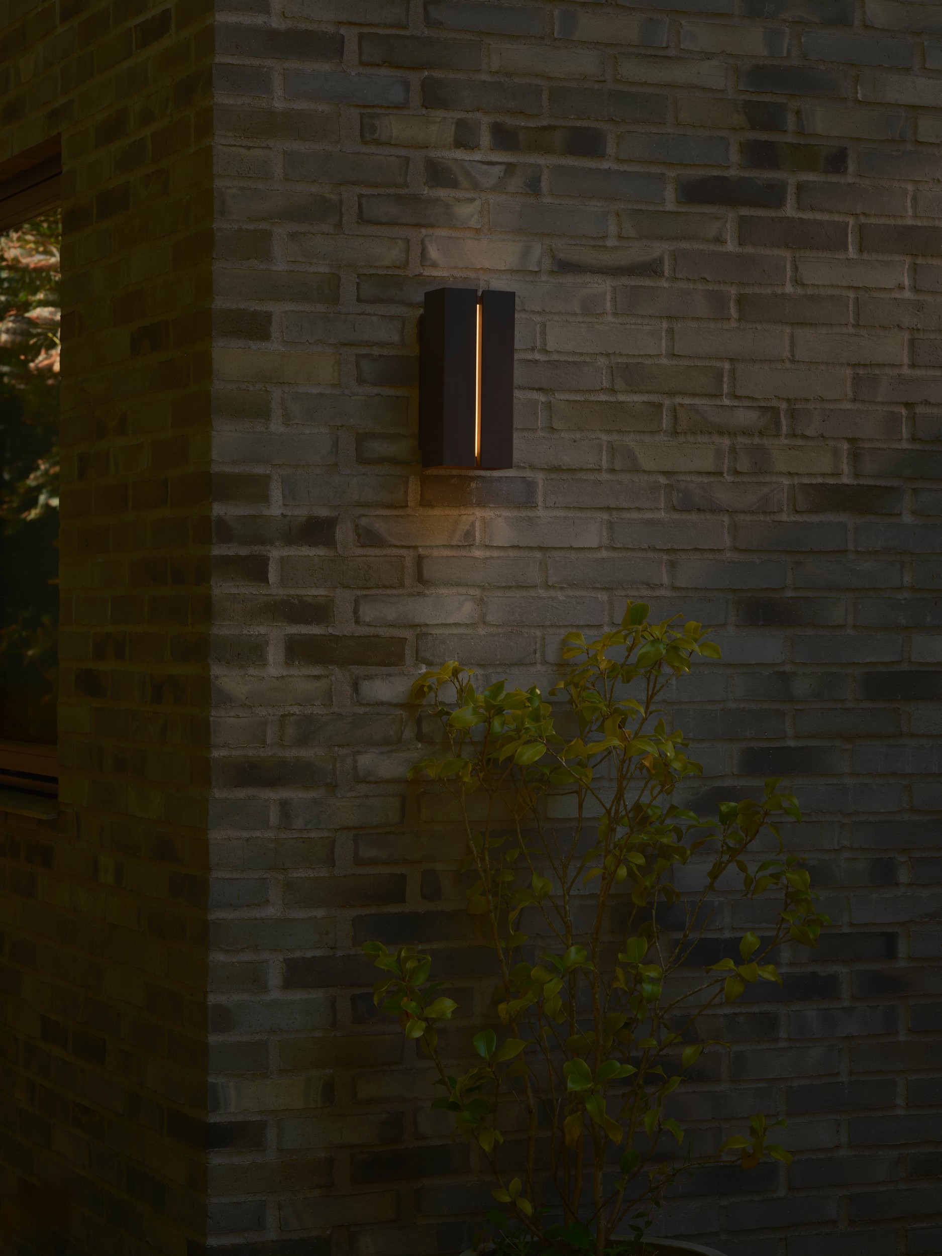 M Clarini 2618151203_4