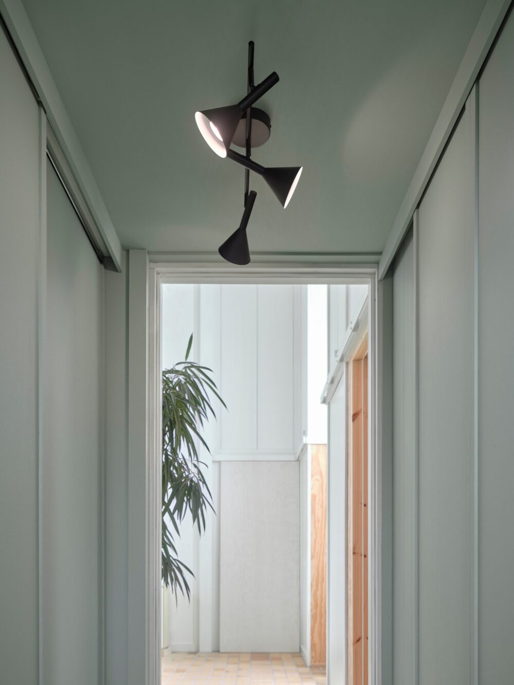 Kelvis 3-Spot | Ceiling light | Black