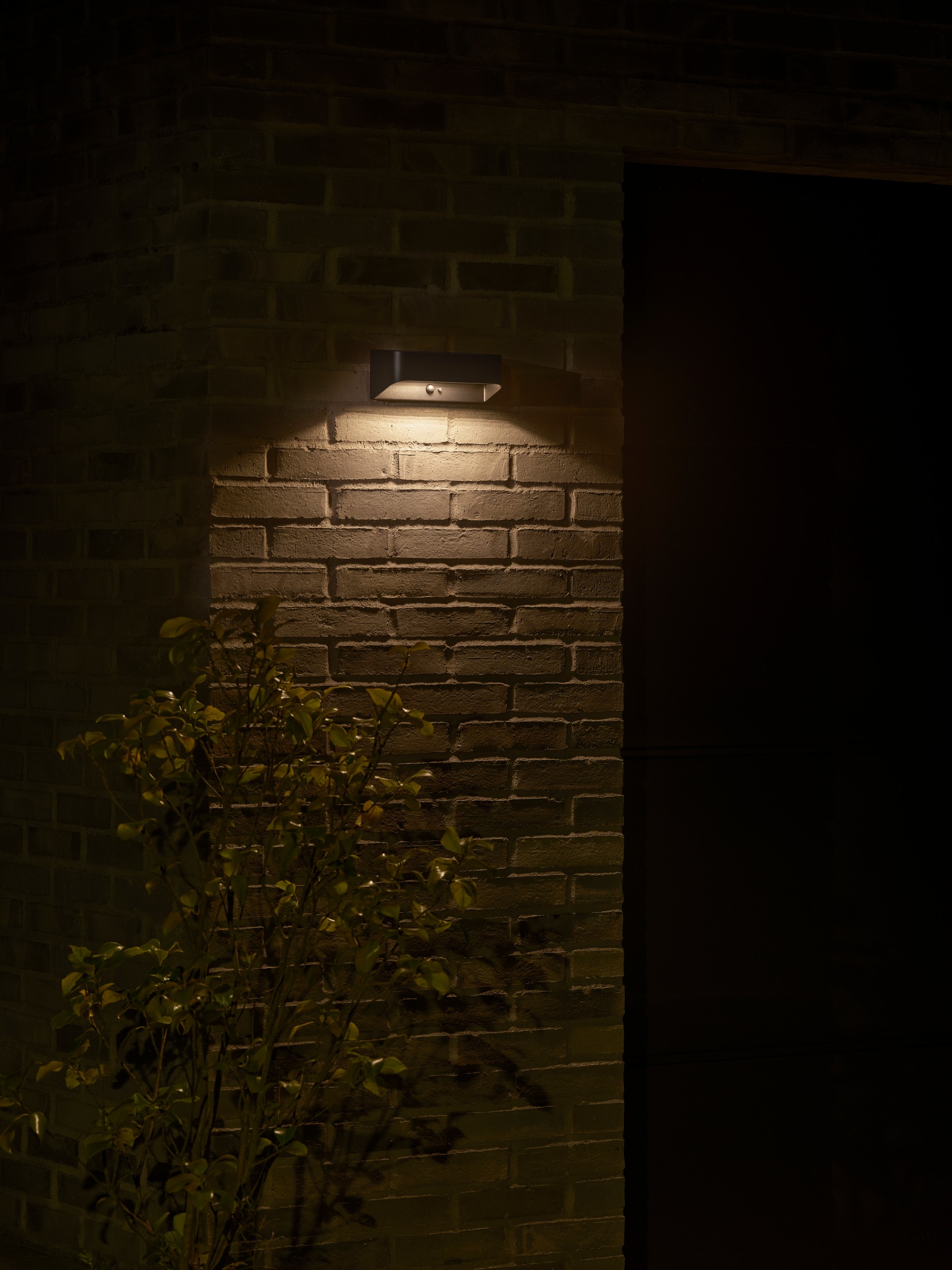 M Marcellio 2618001003_3