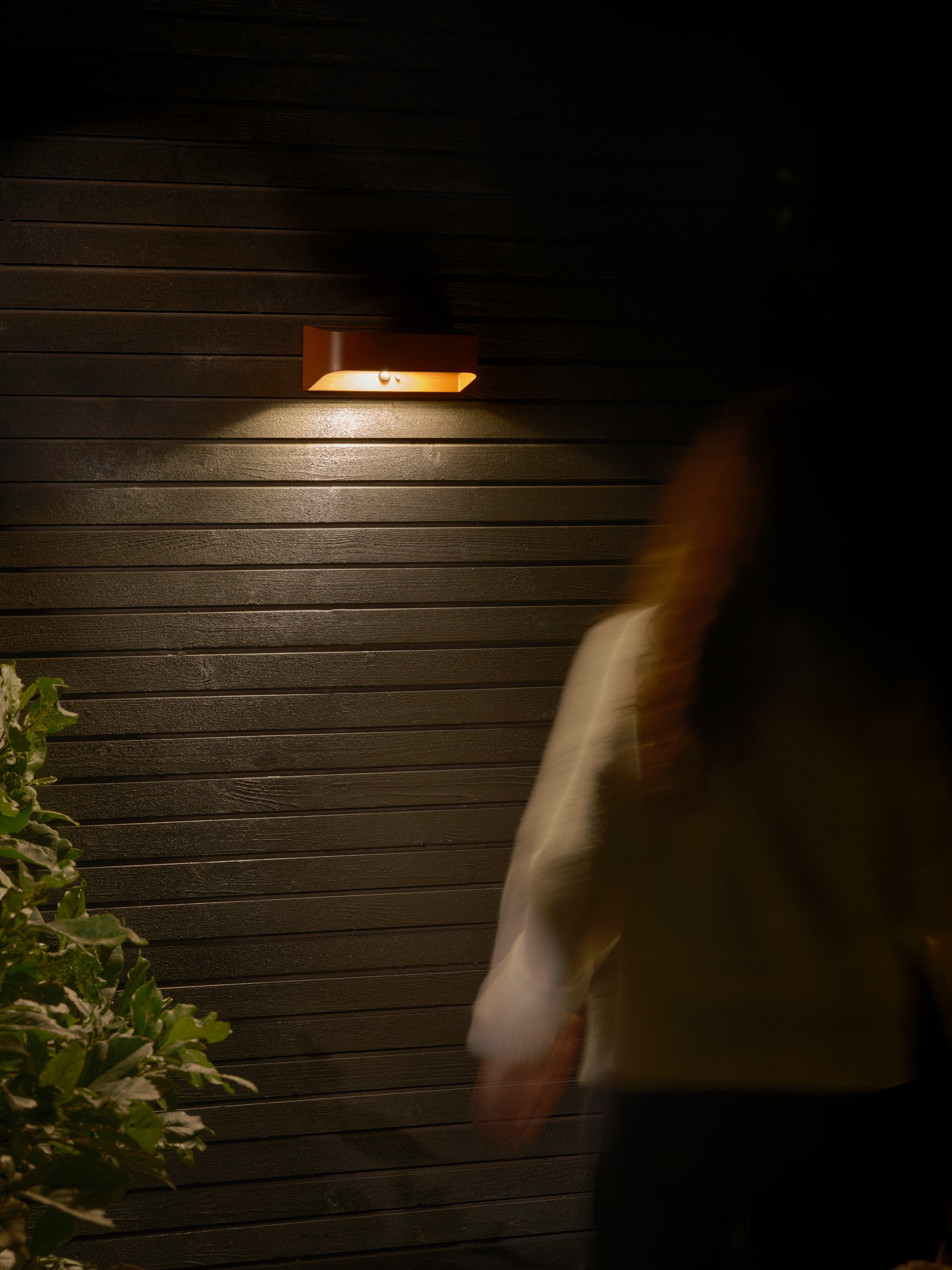 M Marcellio 2618001018_4