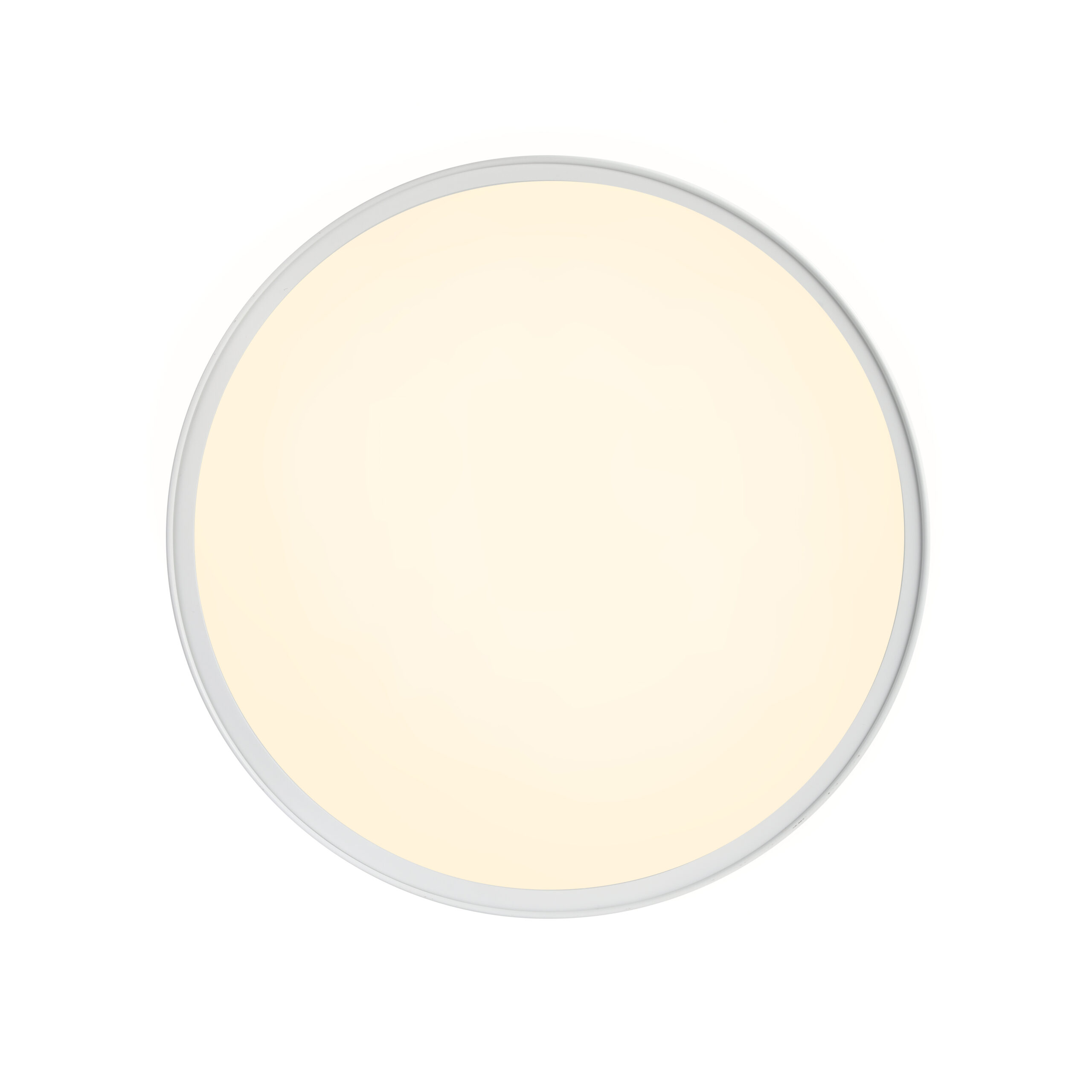 PENELOPA 2610106001_2