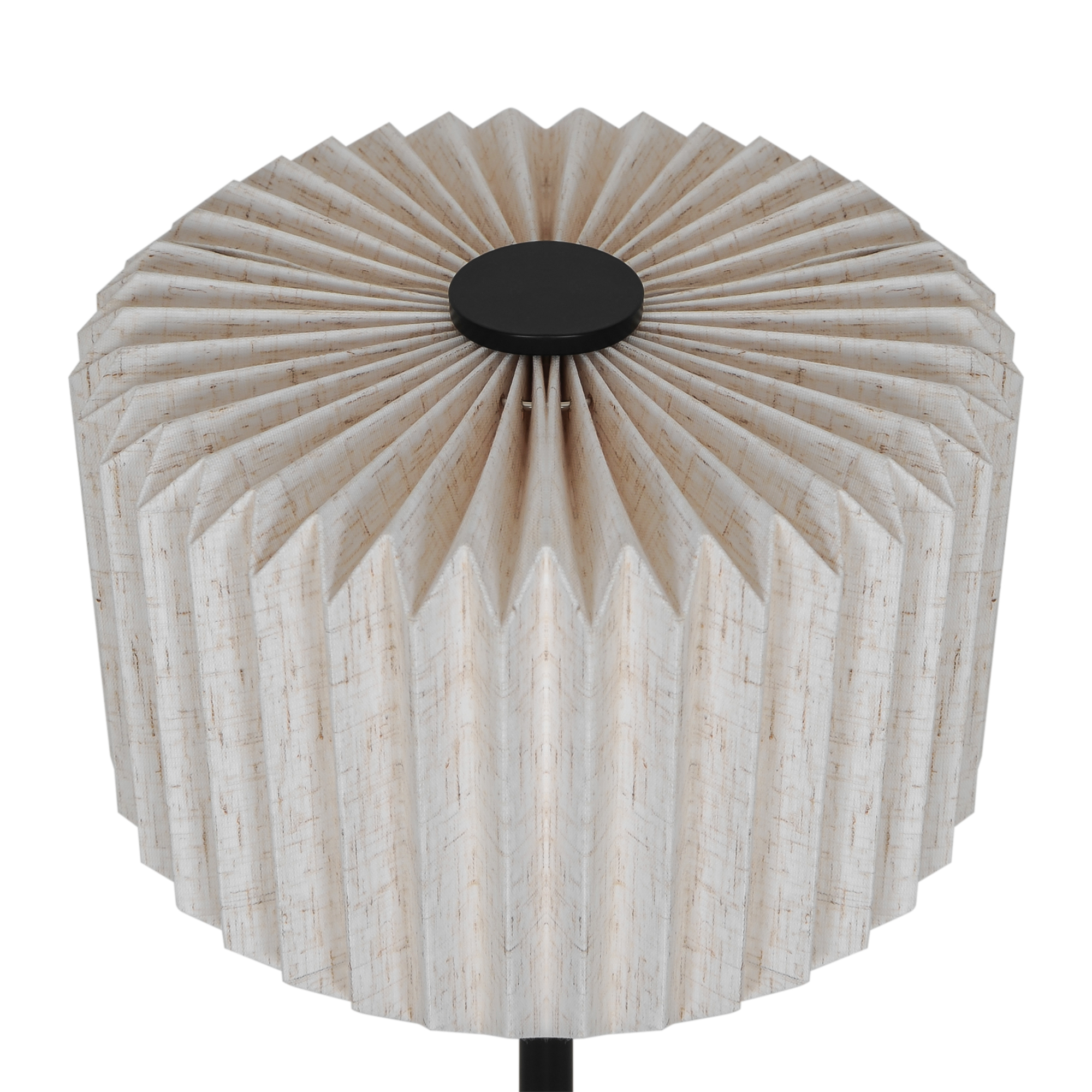 Vivienne 2612265003_3